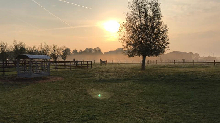 20200808 120305000 iOS