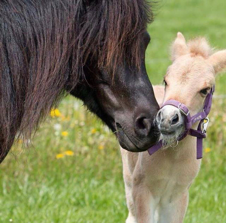 20200808 120400000 iOS