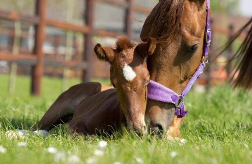 20200928 191320000 iOS