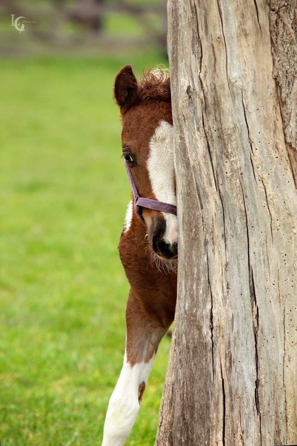 20210430 121906000 iOS