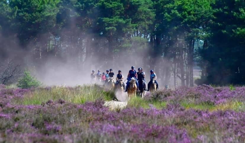 20220114 144123000 iOS