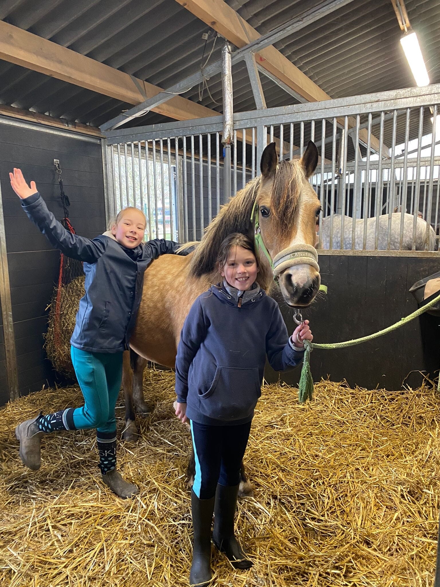 Frummel in de stal op het JSP met 2 meiden