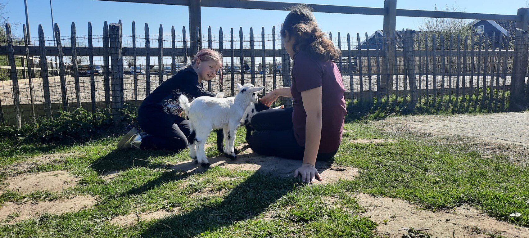 Image   2025 04 14T095902.763