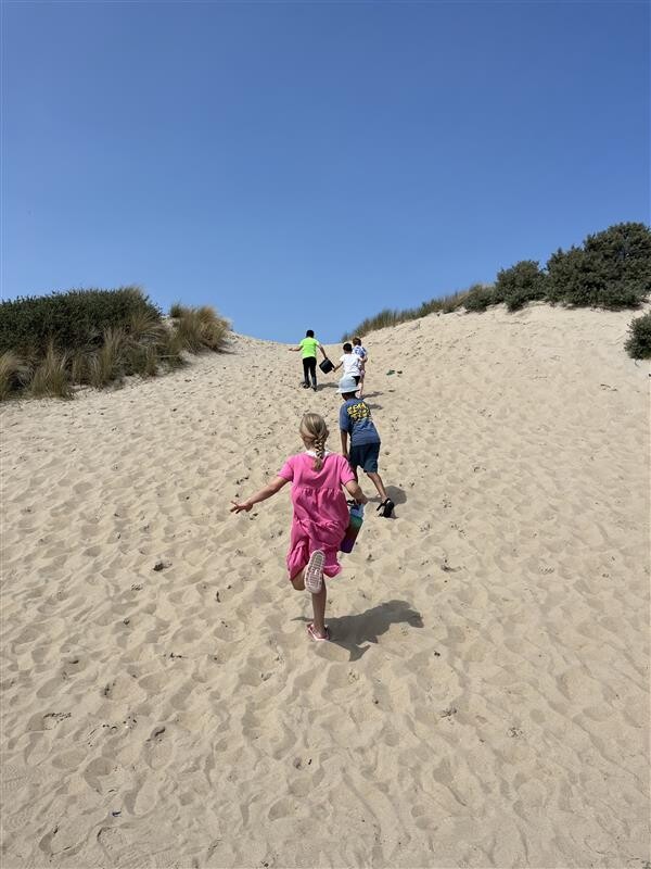 Image   2025 10 09T112522.653