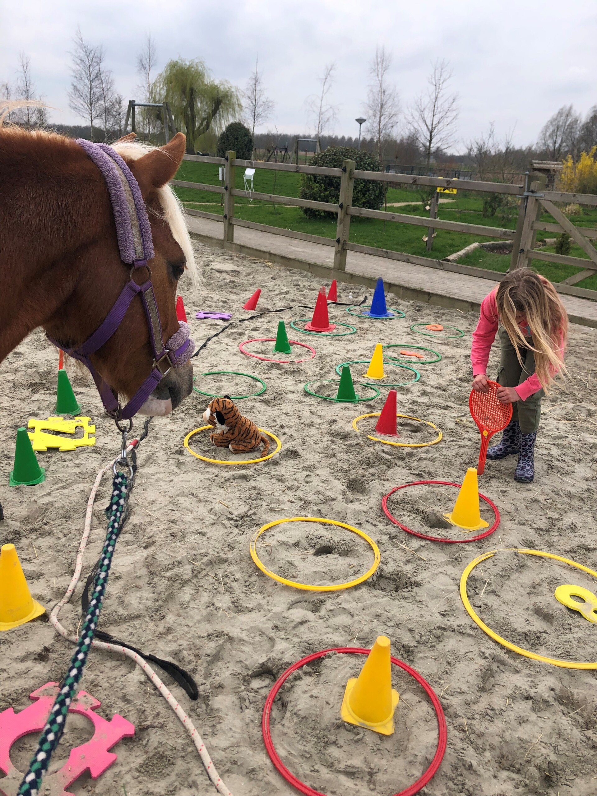Paardencoaching