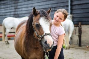 Paardrijles verzorging