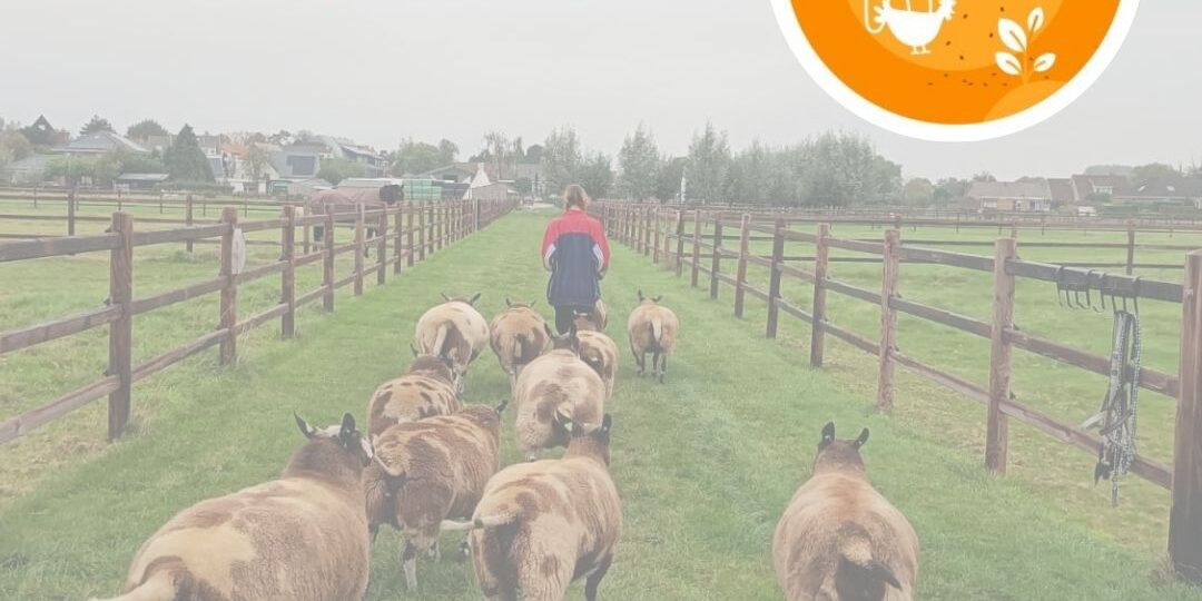 431064305_927309709403126_6135998643993933324_n