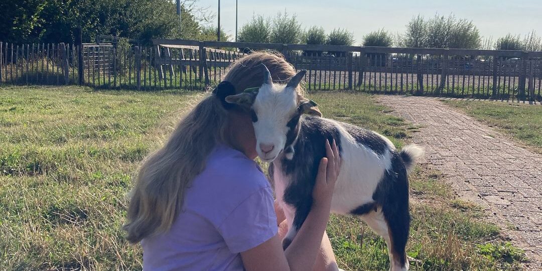 437751444_17885046003019668_7369931264873288850_n